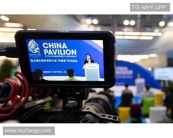 CCTV4体育直播：即时性、深度解说、互动多样性与全面分析的魅力