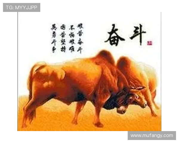 深圳排球队的崛起之路全国锦标赛特别报道见证奋斗与荣耀 深圳排球队的崛起之路全国锦标赛特别报道见证奋斗与荣耀