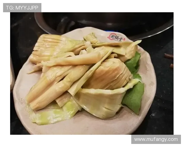 深度对话周磊篮球人生的启示与成长之路探讨