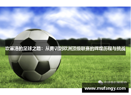 坎塞洛的足球之路：从青训到欧洲顶级联赛的辉煌历程与挑战