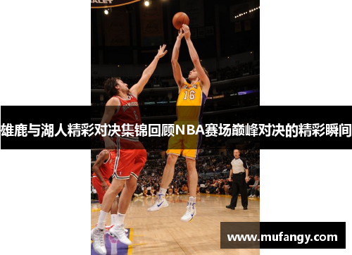 雄鹿与湖人精彩对决集锦回顾NBA赛场巅峰对决的精彩瞬间